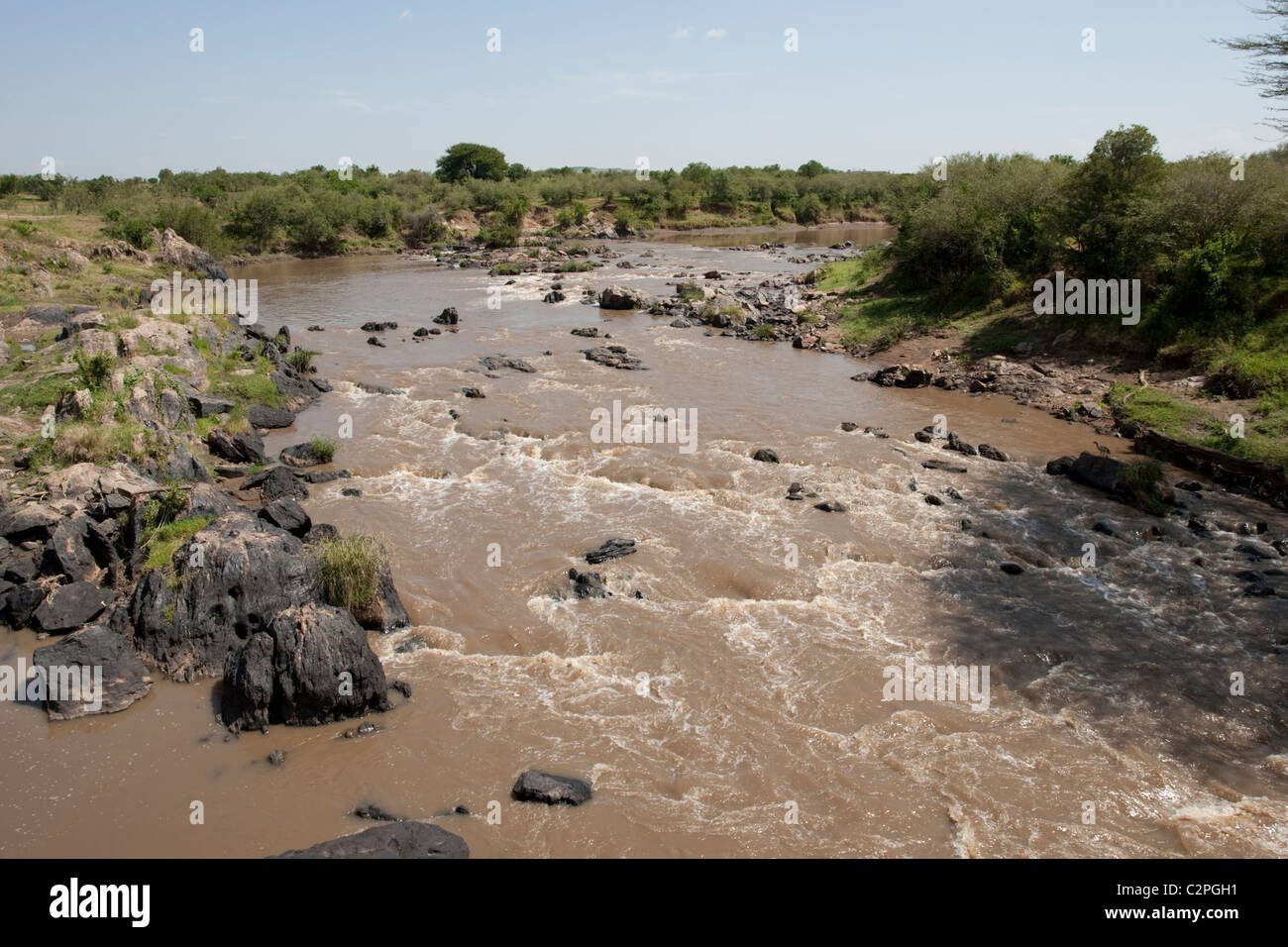 Mara-Fluss Masai Mara Wildreservat Kenia Stockfoto