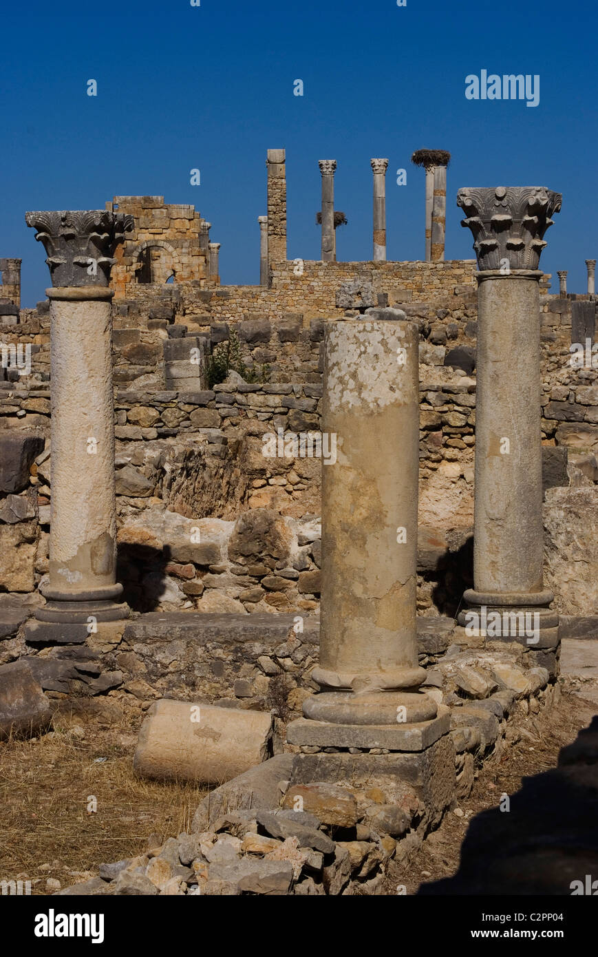 Öffentliche Bäder, numidischen, römische Stätte von Volubilis, in der Nähe von Meknès, Marokko Stockfoto