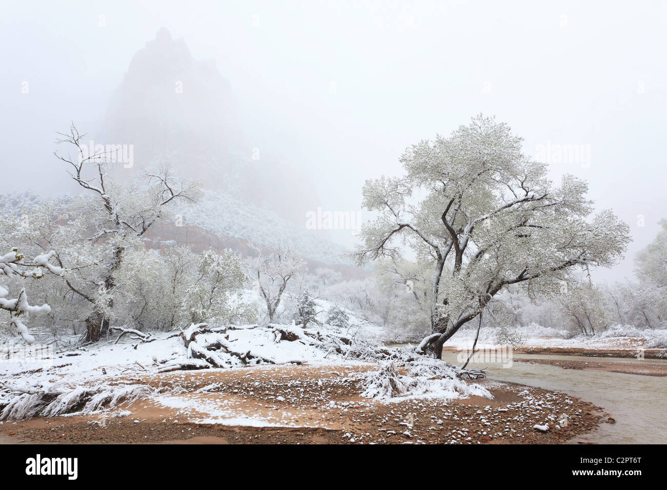 Winter-Ansicht des Virgin River im Zion Canyon (Utah, USA) Stockfoto