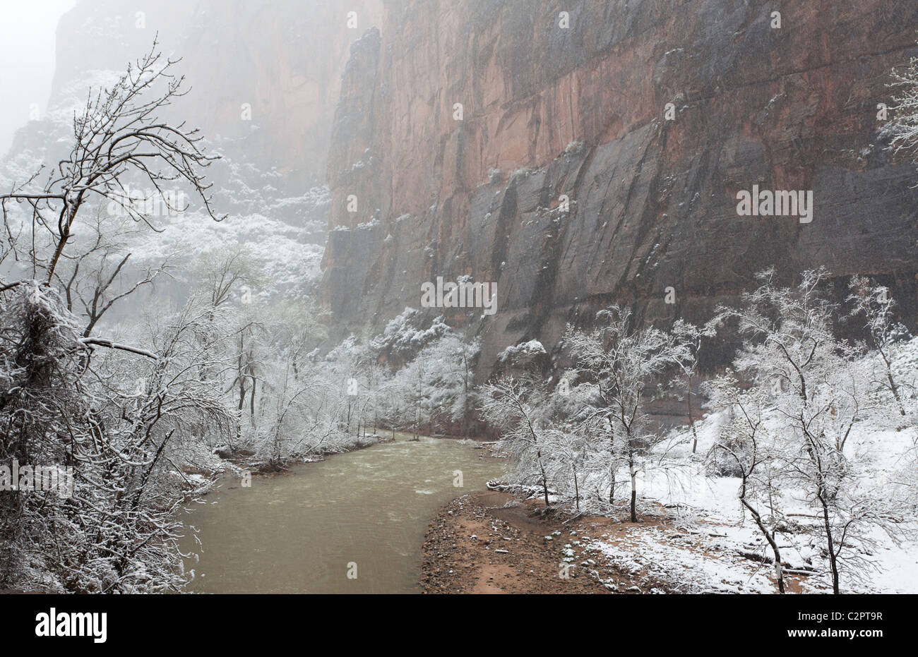 Winter-Ansicht des Virgin River im Zion Canyon (Utah, USA) Stockfoto