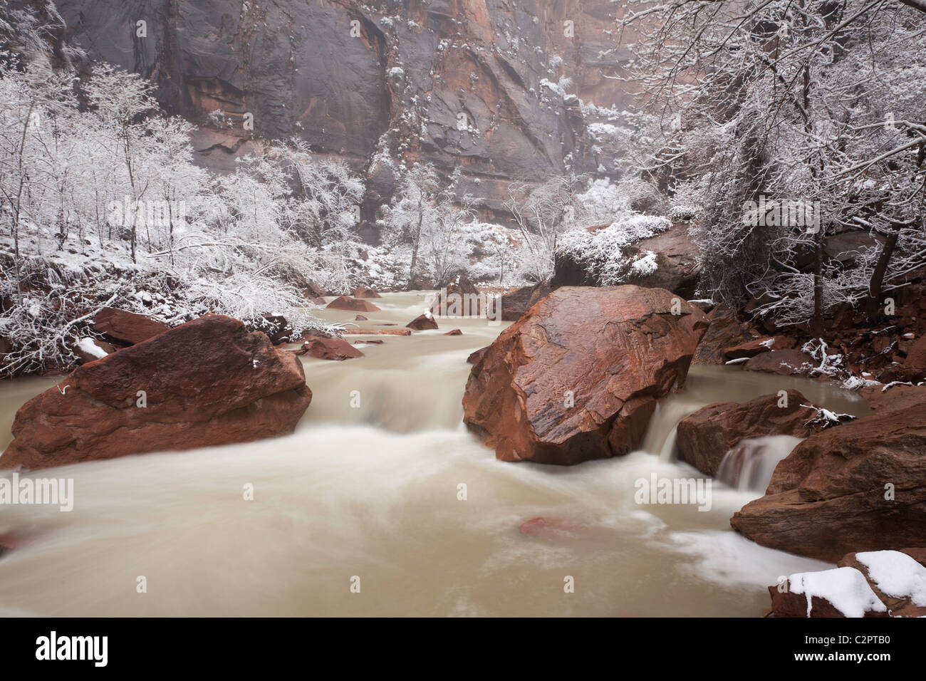 Winter Fluss des Virgin River im Zion Canyon (Utah, USA) Stockfoto