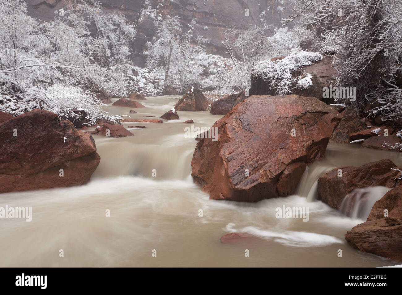 Winter Fluss des Virgin River im Zion Canyon (Utah, USA) Stockfoto