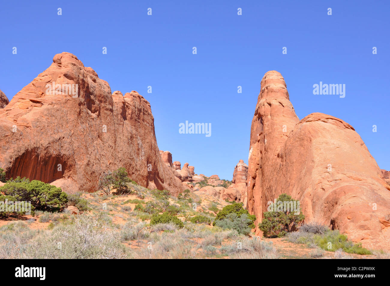 Arches-Nationalpark, Utah, USA Stockfoto