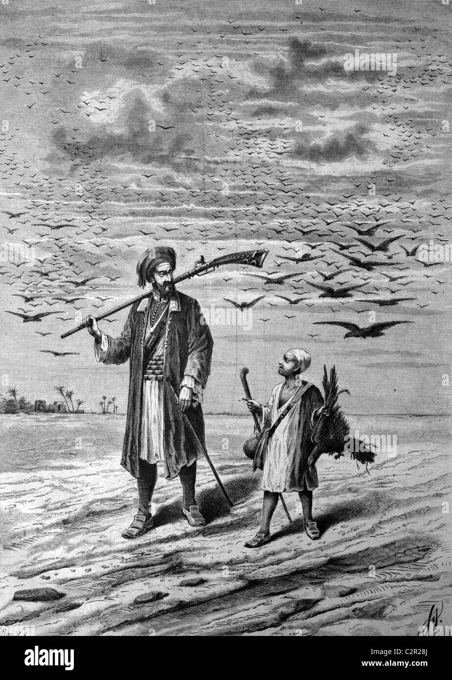 Adler-Jagd in Arabien, historische Abbildung, ca. 1886 Stockfoto