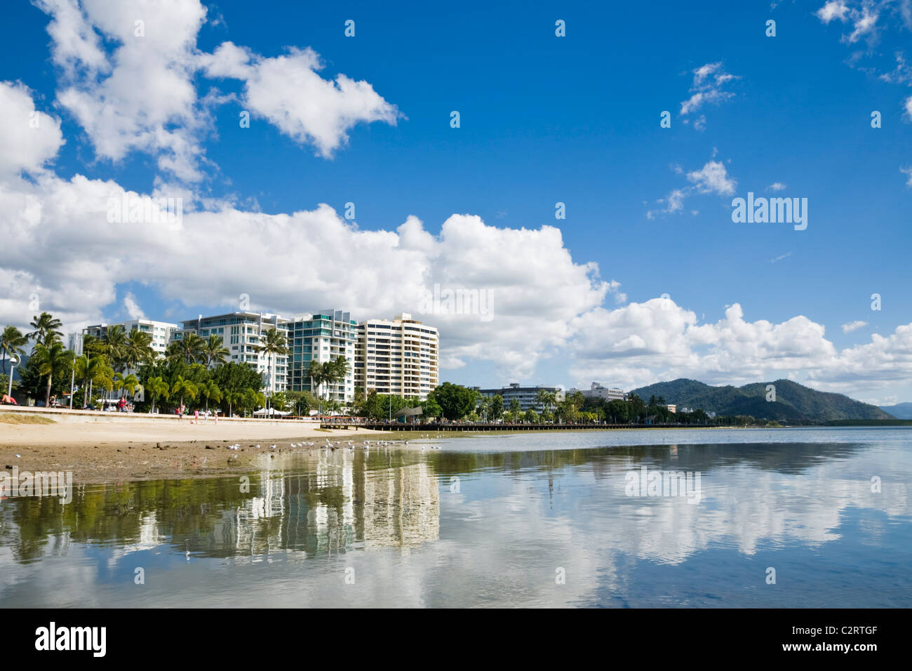 Blick entlang der Esplanade. Cairns, Queensland, Australien Stockfoto