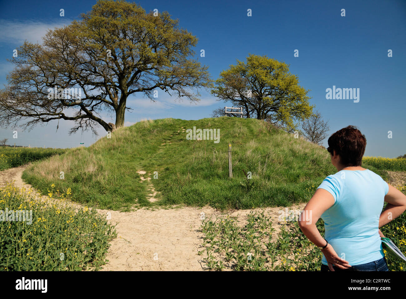 Der Appledore Runde Hügel, Grabhügel. Stockfoto