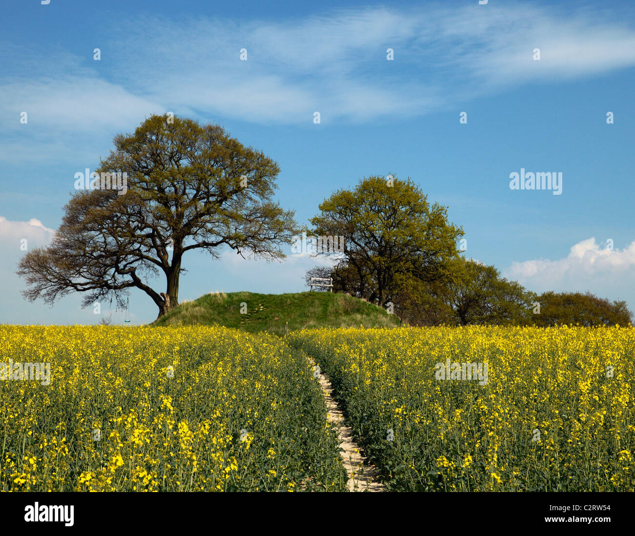 Der Appledore Runde Hügel, Grabhügel. Stockfoto