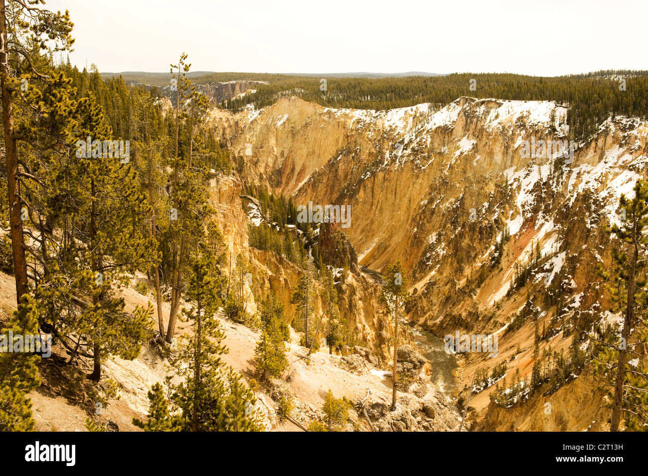 Die große Schlucht entlang des Yellowstone River. Stockfoto