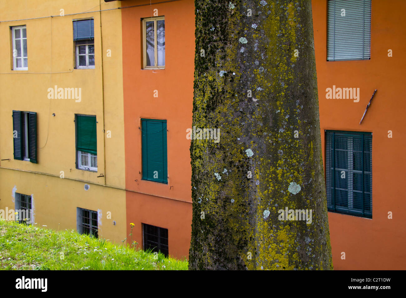 Bunte Häuser in Lucca Toskana Italien Stockfoto