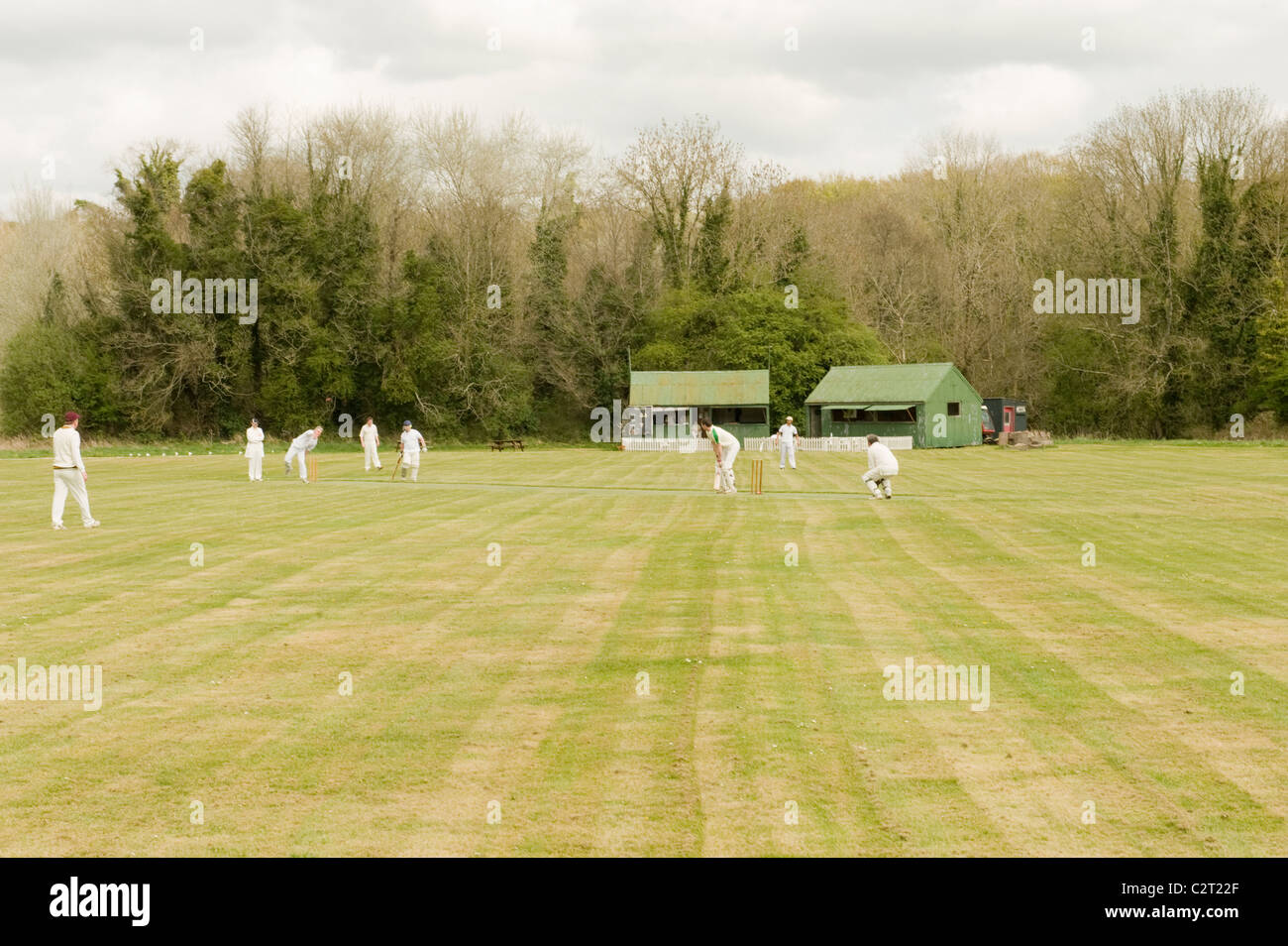 Cricket im Lande Stockfoto