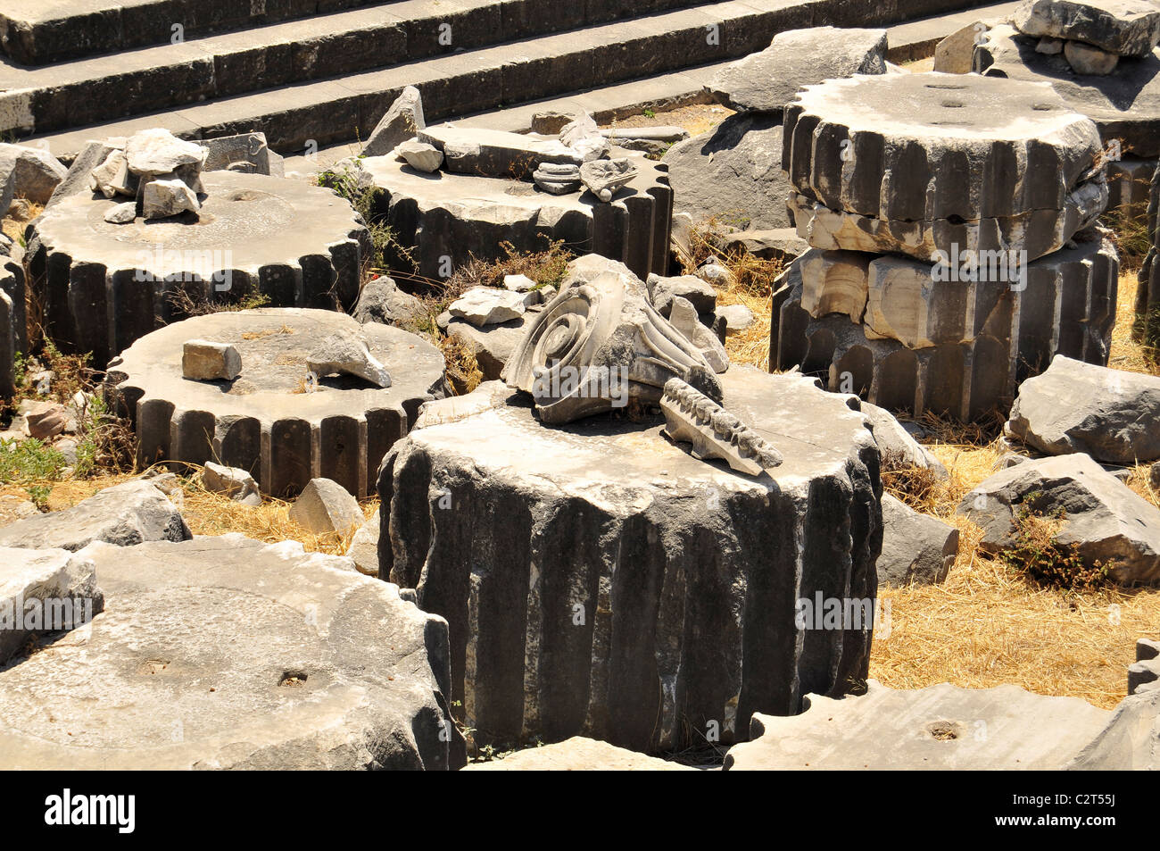 Tempel des Apollon - Didyma / Türkei Stockfoto