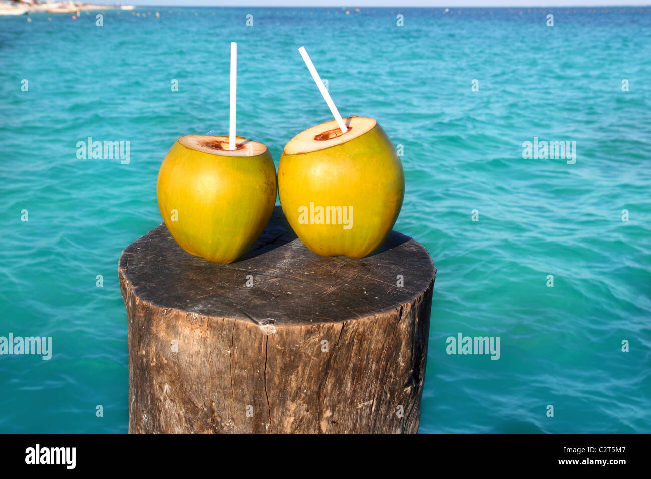 zwei frische Kokosnüsse Saft cocktail Wasser Strohhalme im karibischen Meer Stamm Stockfoto
