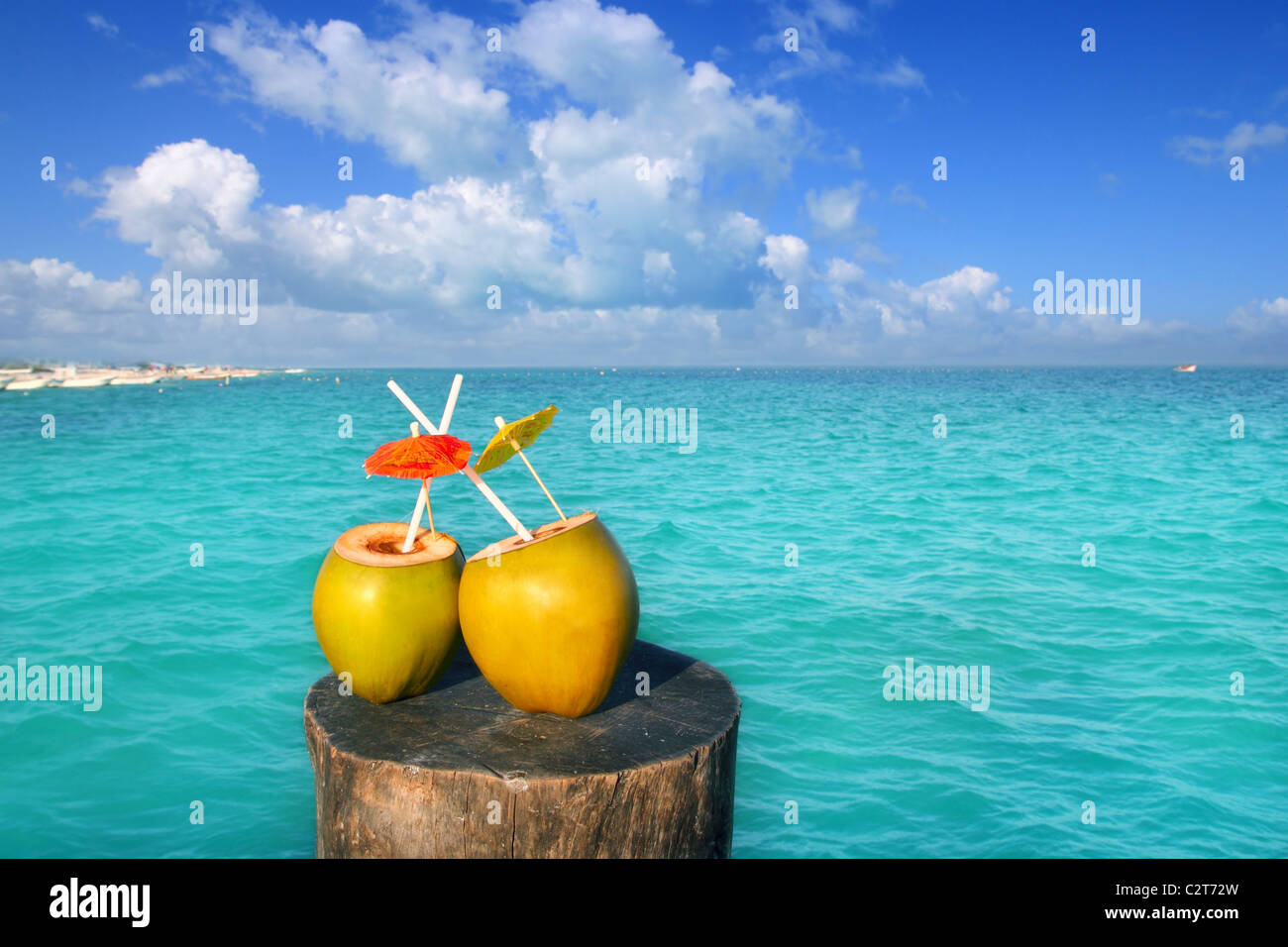 zwei frische Kokosnüsse Saft cocktail Wasser Strohhalme im karibischen Meer Stamm Stockfoto