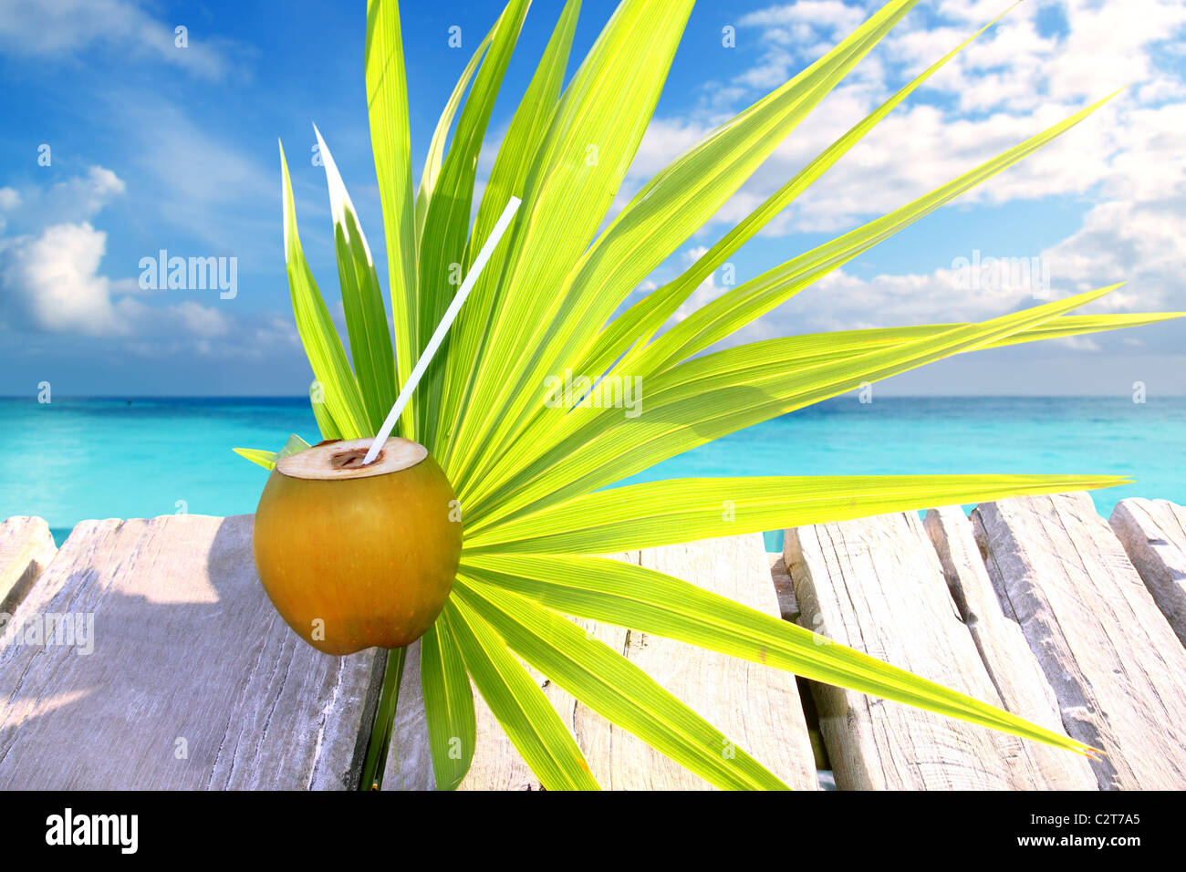 im karibischen Meer Pier Chit Palm Leaf tropischen Thema frische Kokosnuss Stockfoto