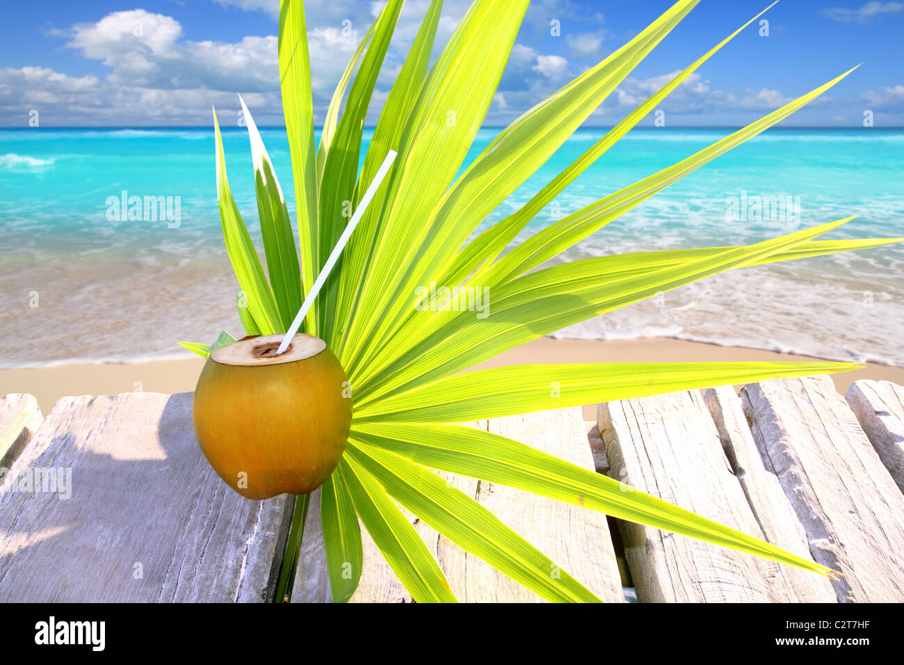 im karibischen Meer Pier Chit Palm Leaf tropischen Thema frische Kokosnuss Stockfoto