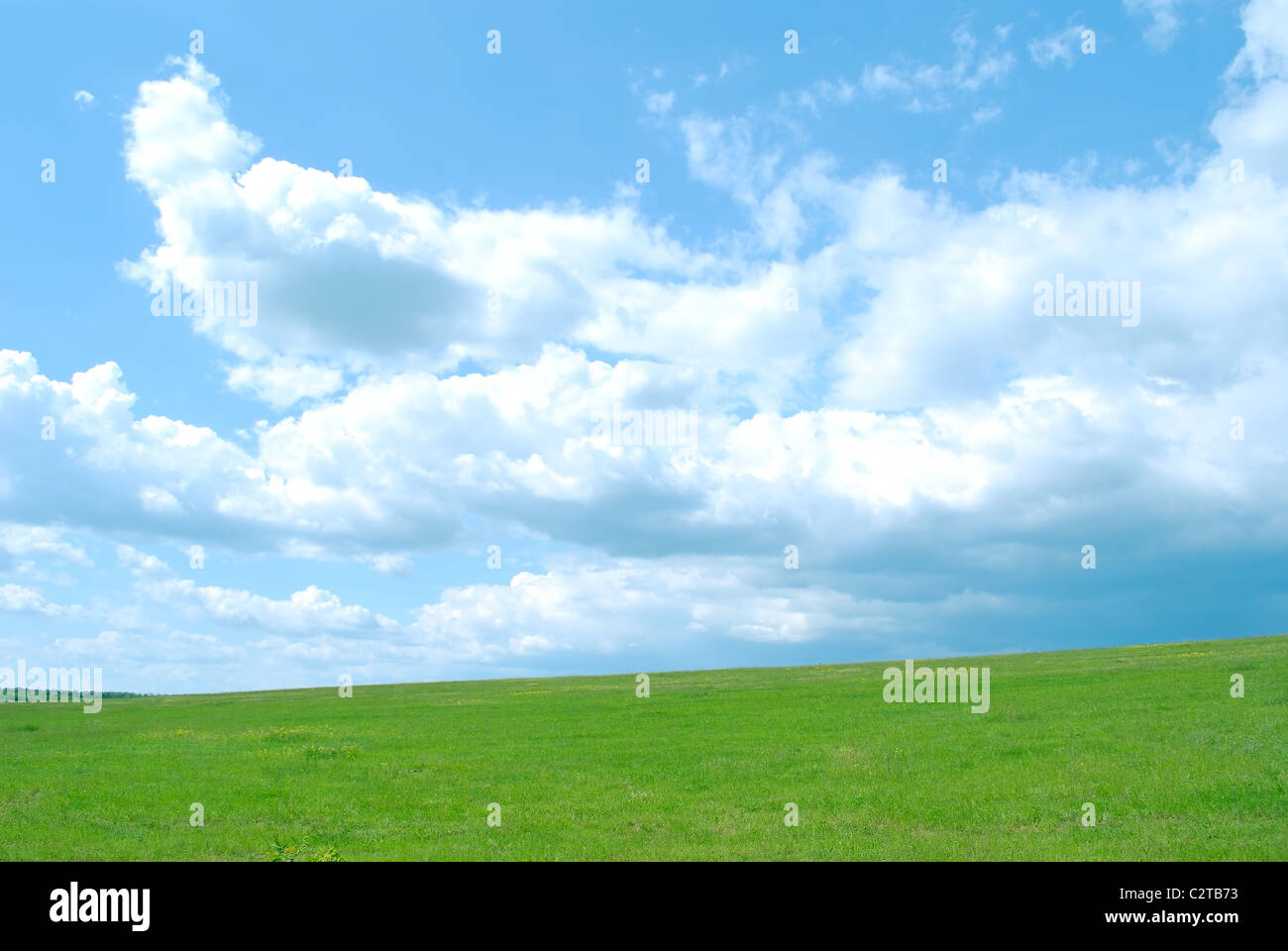 nichtstädtischen Natur grüne Wiese. Landschaft Stockfoto