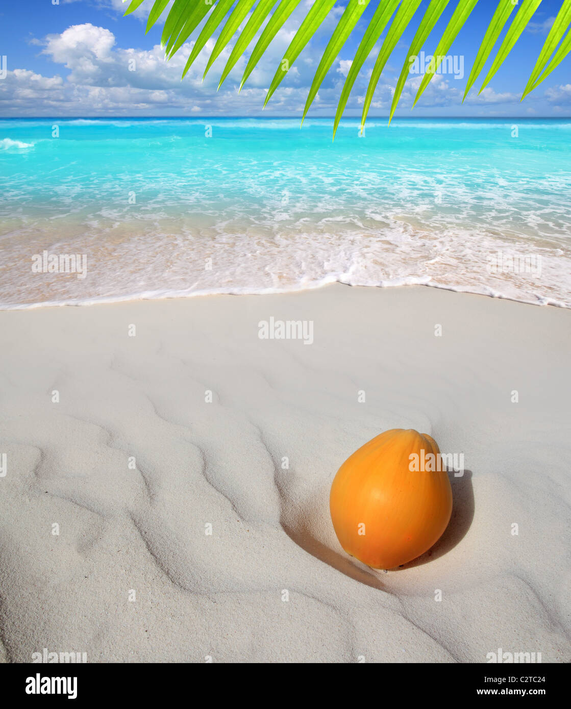 Kokosnuss am karibischen Strand weißen Sand Reife orange Türkis Meer Stockfoto