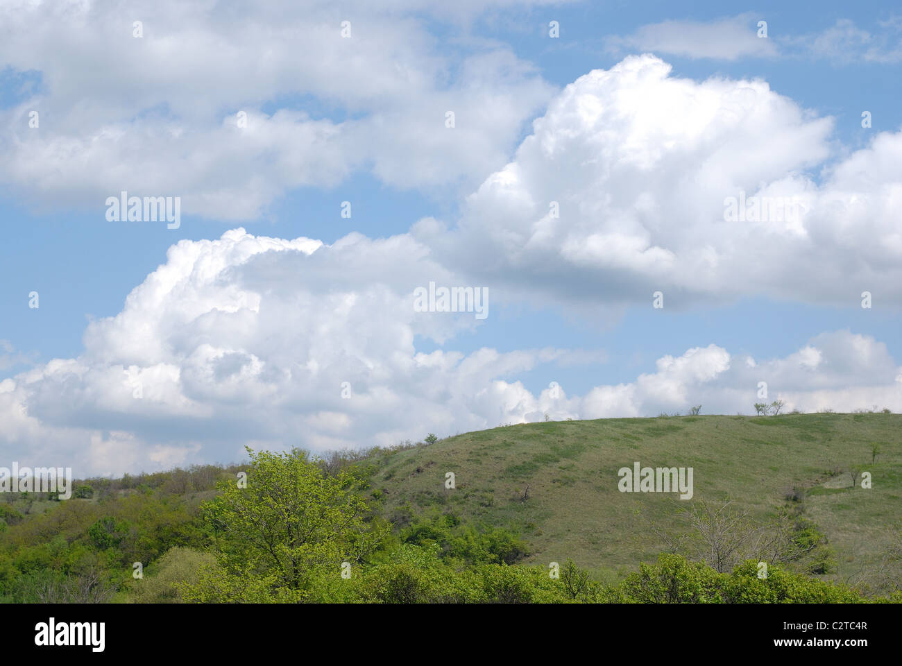 nichtstädtischen Natur grüne Wiese. Landschaft Stockfoto