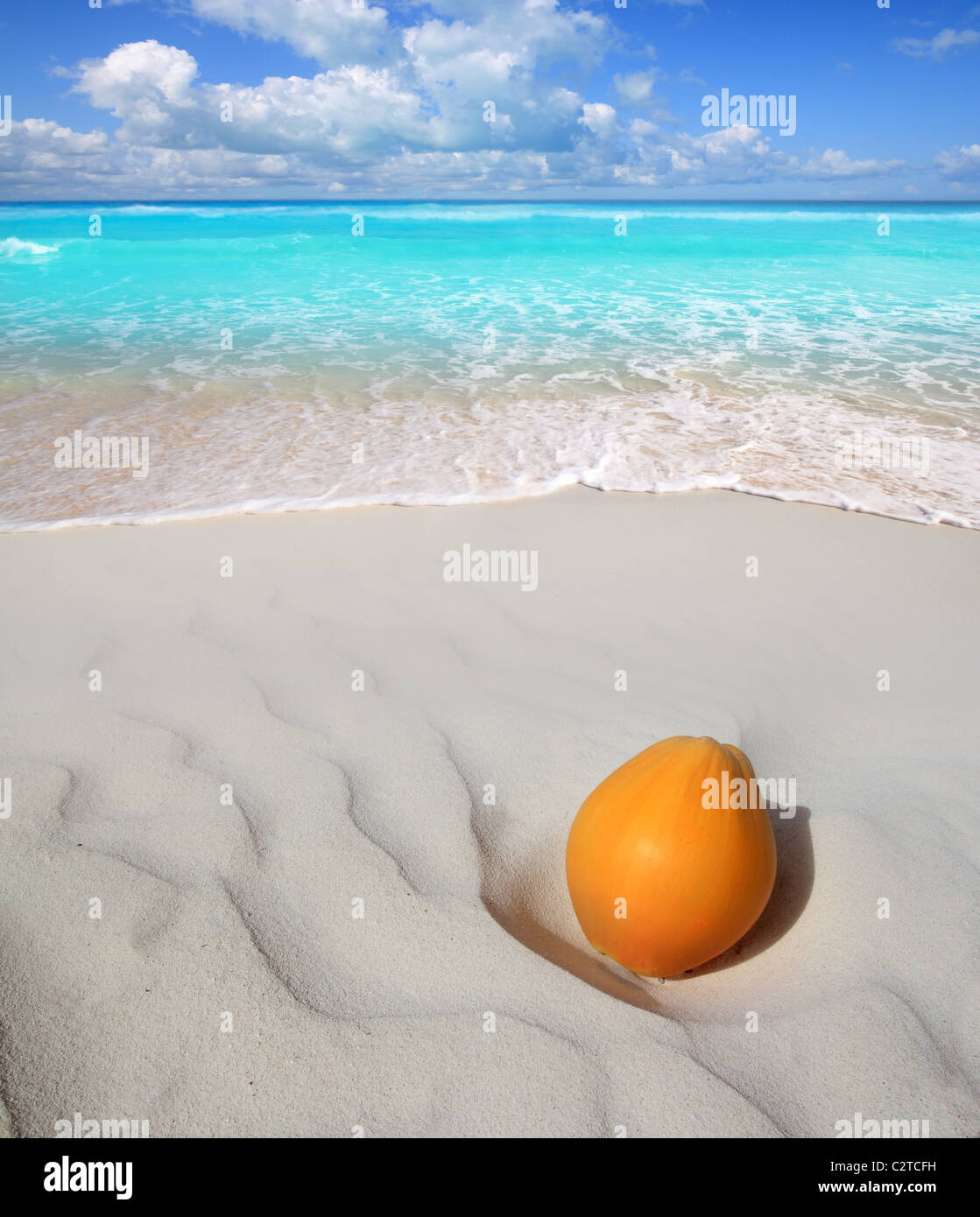 Kokosnuss am karibischen Strand weißen Sand Reife orange Türkis Meer Stockfoto