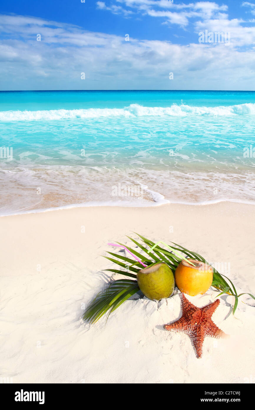 Cocossaft Cocktails und Seesterne in Aqua Tropenstrand Caribbean Stockfoto
