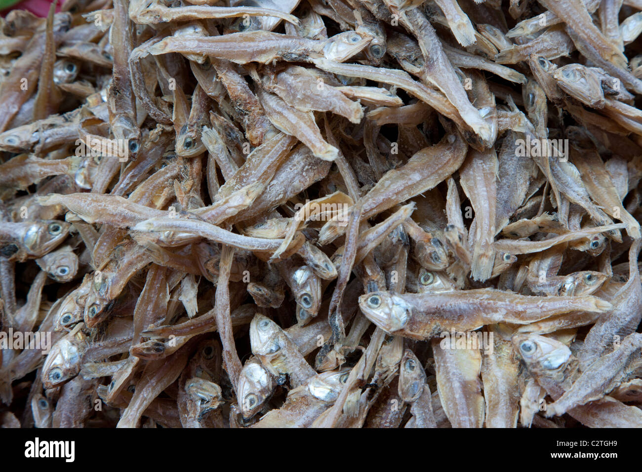 Gesalzener Fisch getrocknet Stockfoto