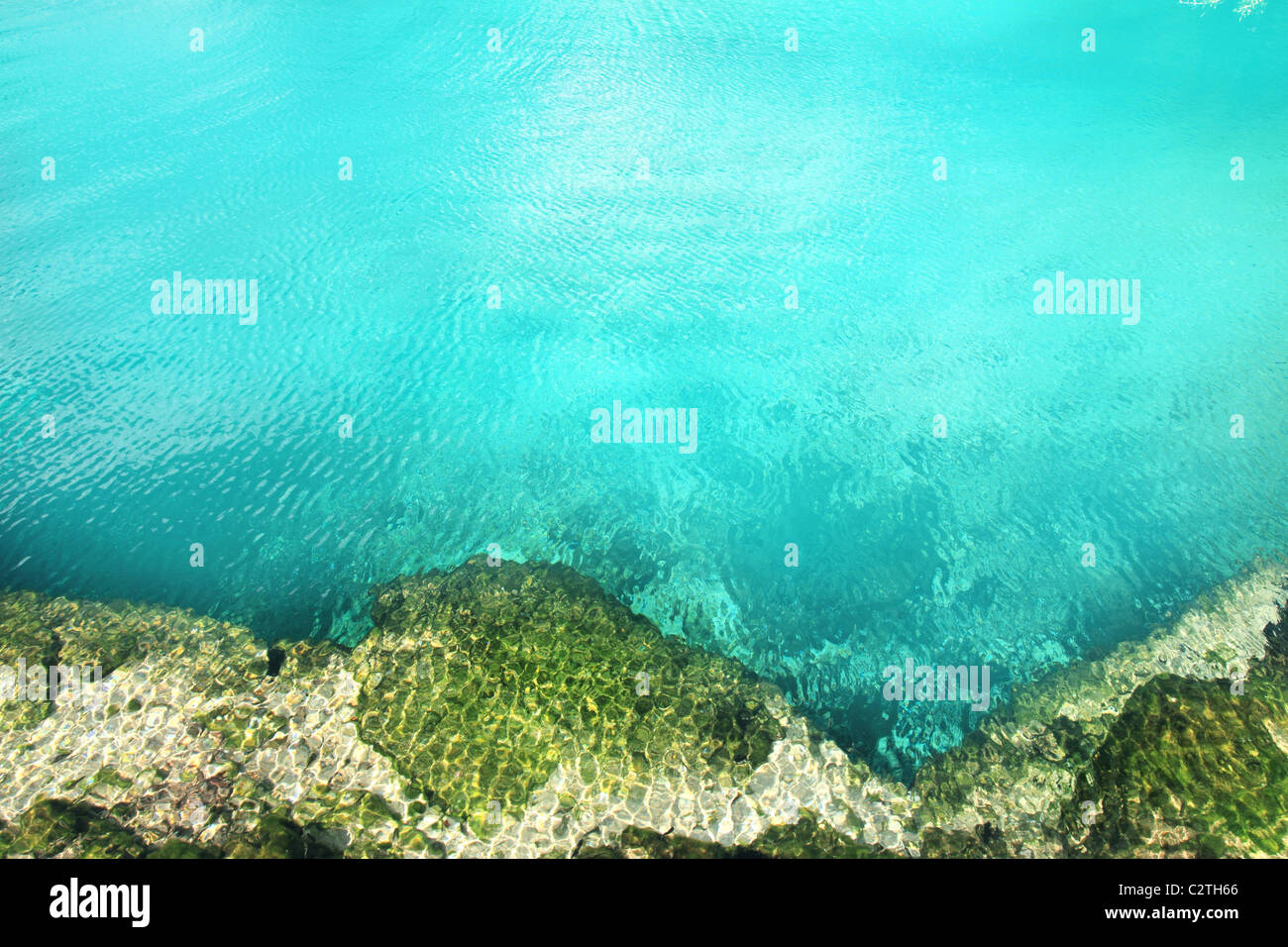 Cenote Mangrove klare türkisfarbenes Wasser Mayan Riviera-Mexiko Stockfoto