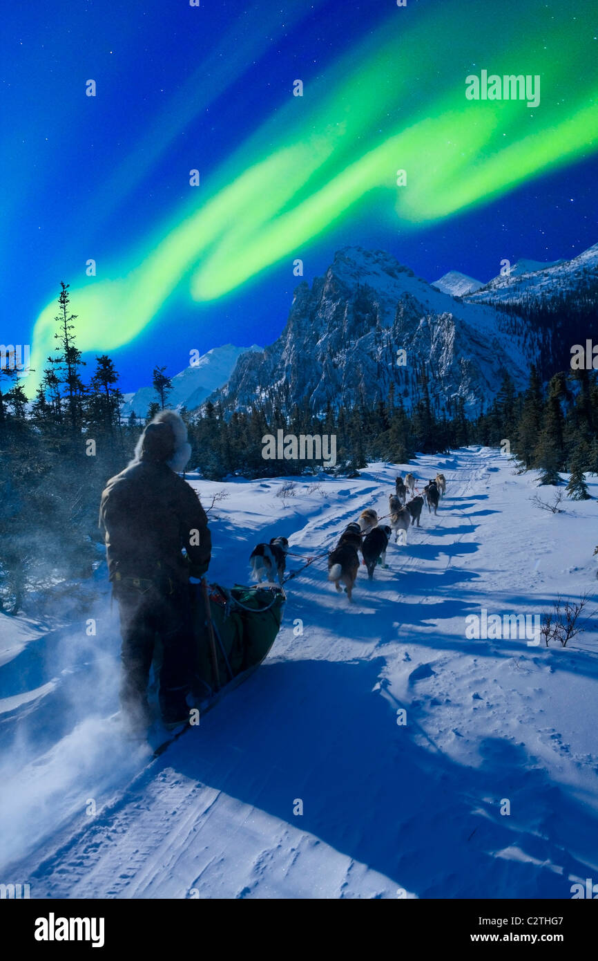 Musher und Hund Team reisen unter der Aurora in den White Mountains Recreation Area, Composite Stockfoto