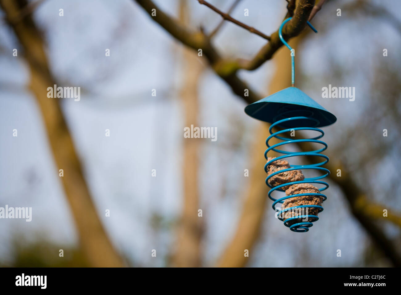 Eine Spirale Vogelhäuschen mit Meisenknödeln warten auf Vögel auf einem Baum Stockfoto