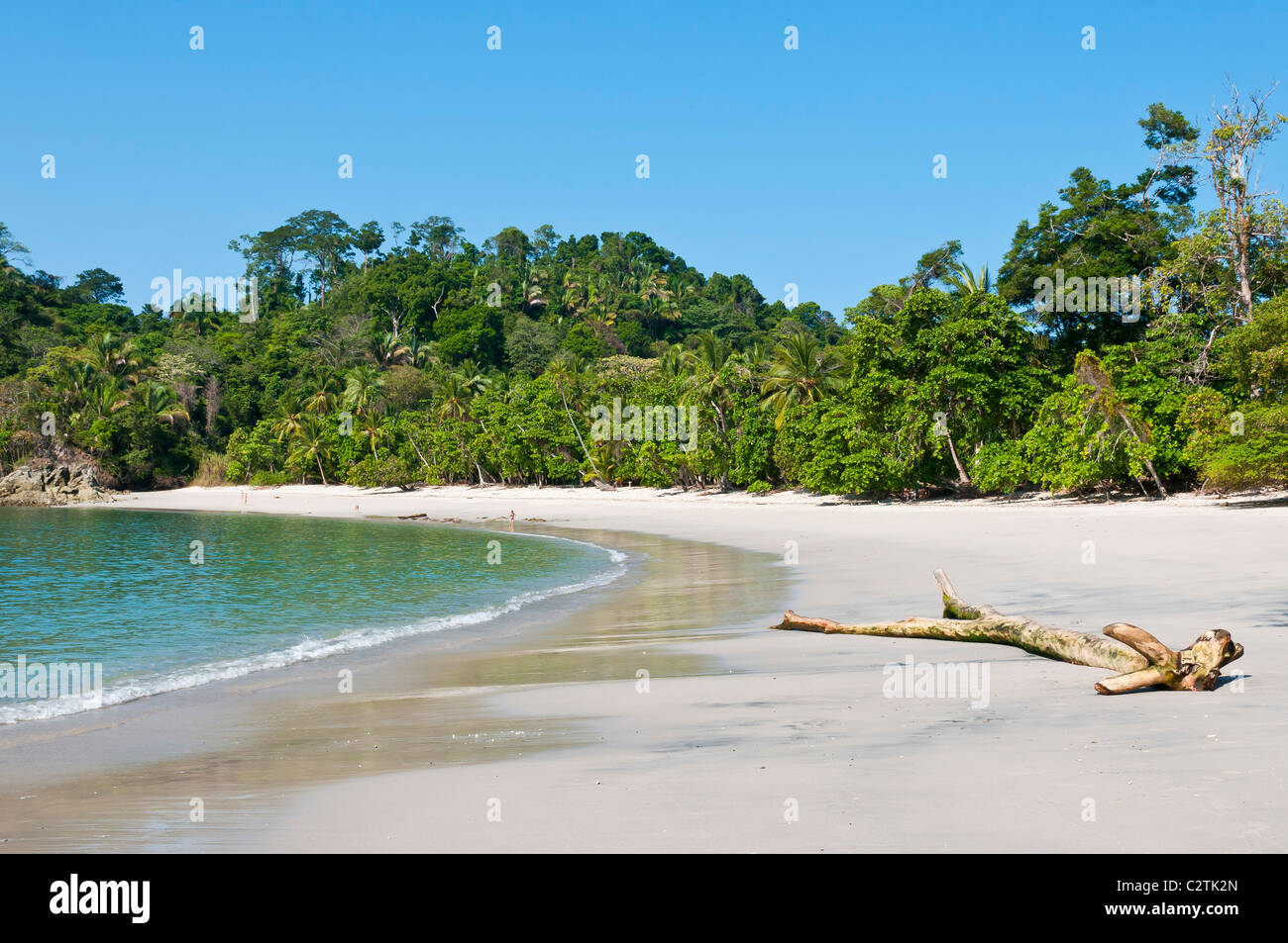 Unberührten Strand im Manuel Antonio National Park, Provinz Puntarenas, Costa Rica Stockfoto