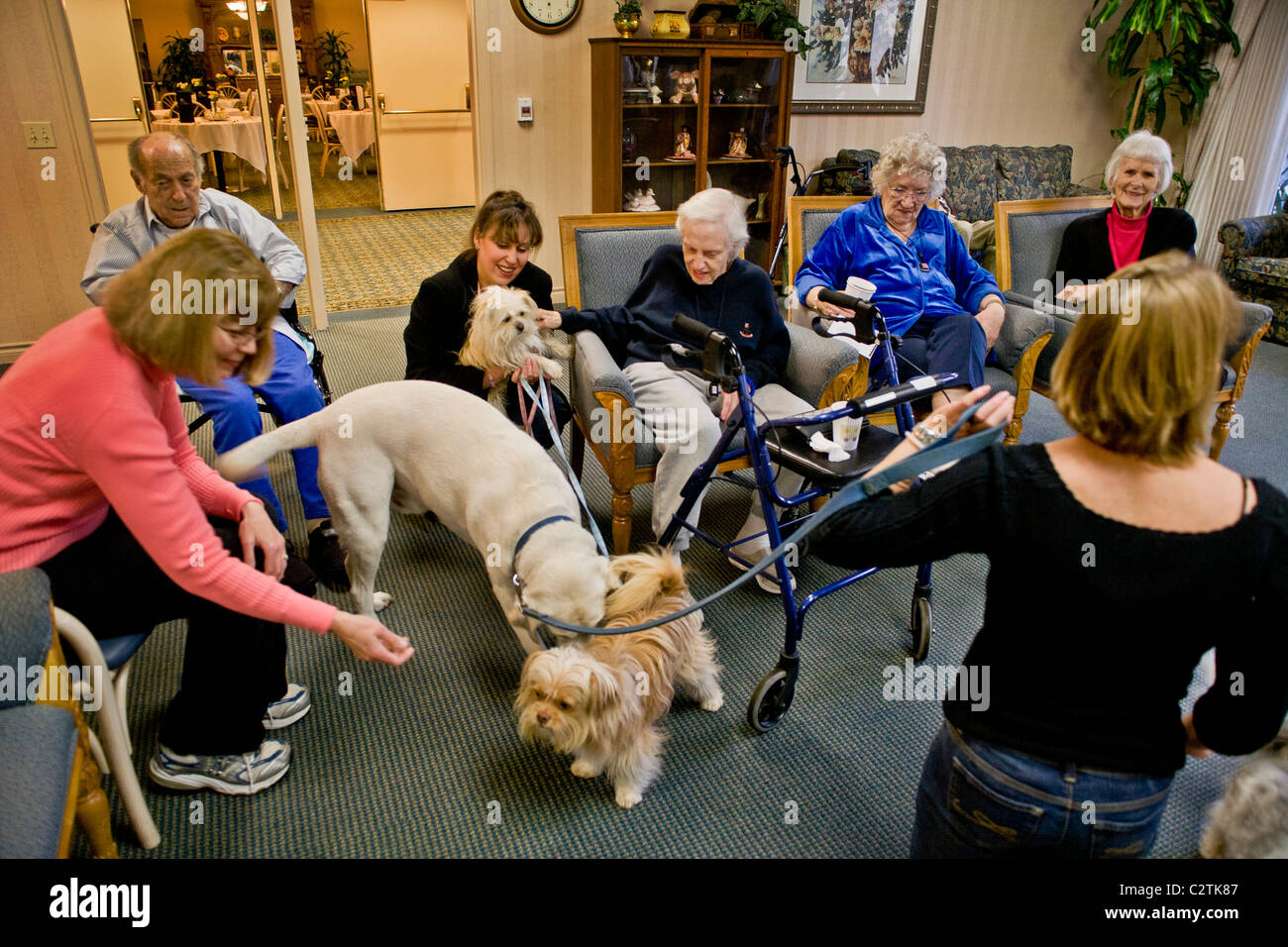 Heimbewohner in Mission Viejo, Kalifornien, spielen mit "Therapiehunde" brachte von Freiwilligen, Begleitung zu bieten. Stockfoto