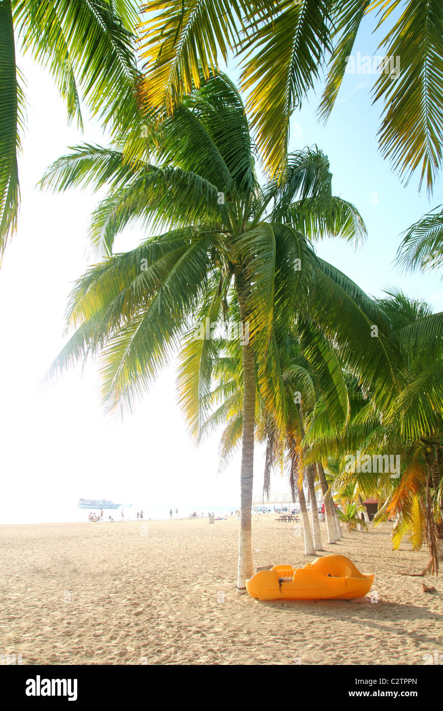 Isla Mujeres Palmen Nord Strand tropischen Kokosnuss Mexiko-Karibik Stockfoto