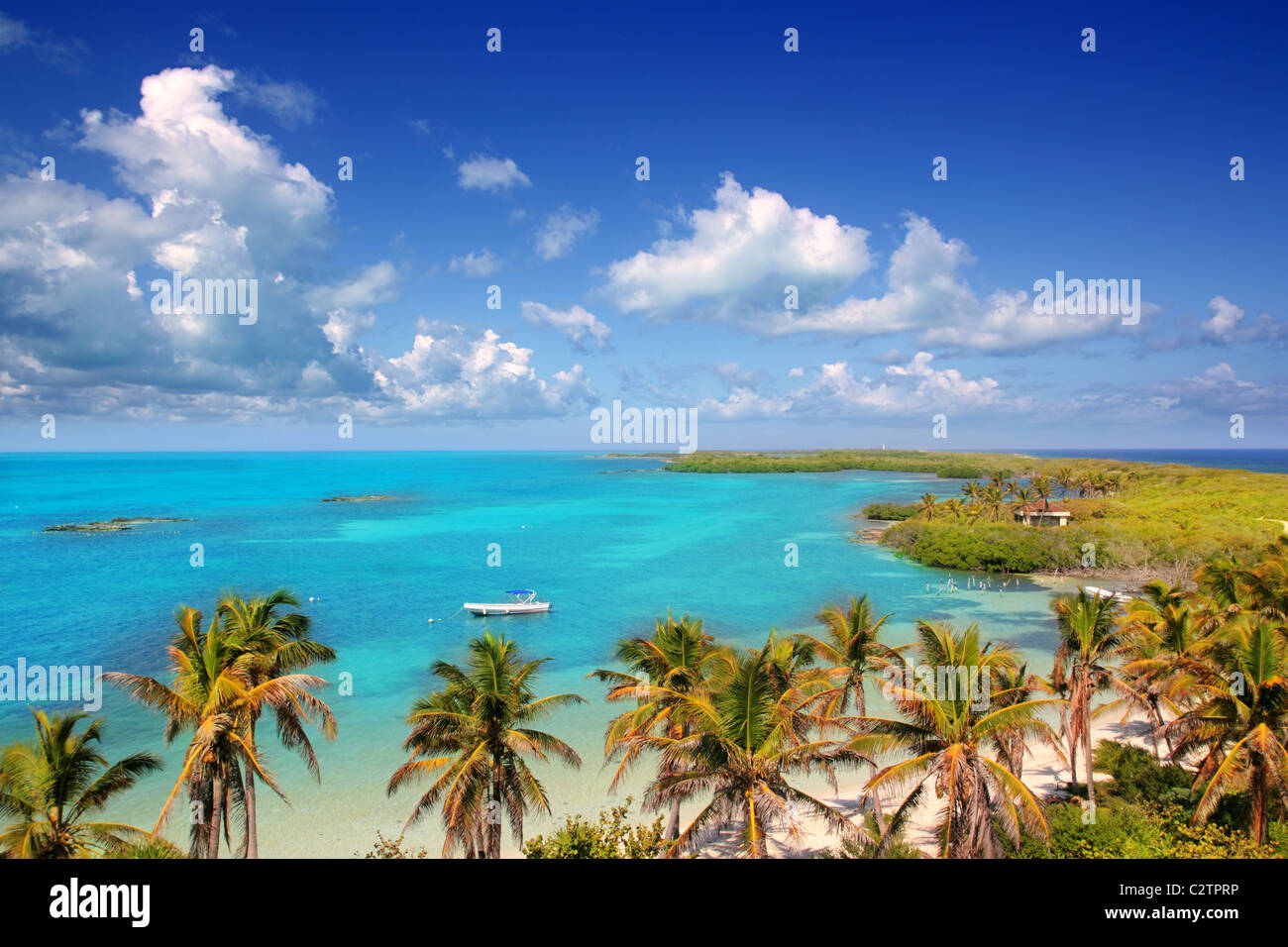 Luftbild Contoy tropischen Karibikinsel Mexiko Palmen und Meer Stockfoto