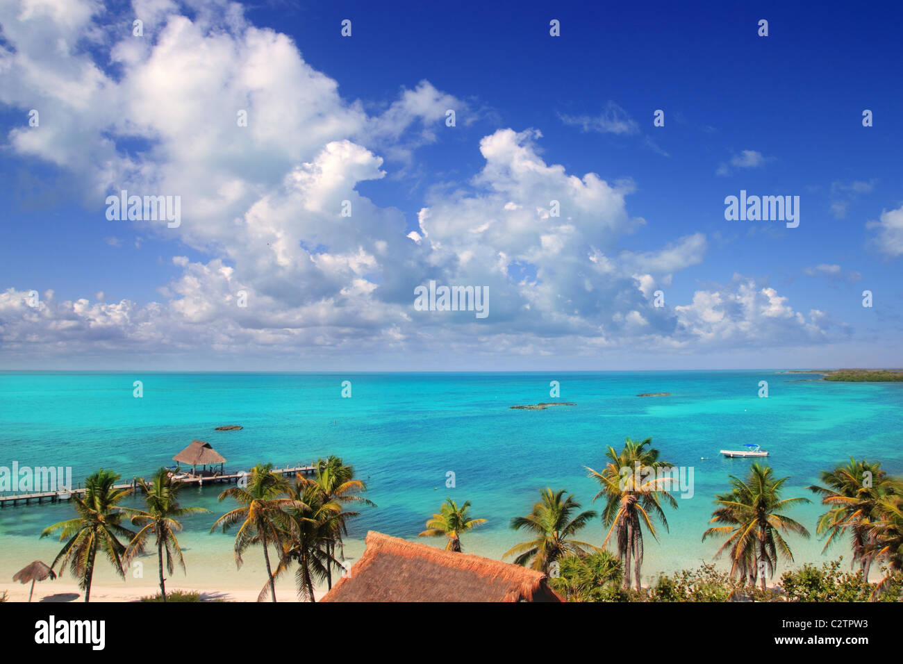 Luftbild Contoy tropischen Karibikinsel Mexiko Palmen und Meer Stockfoto