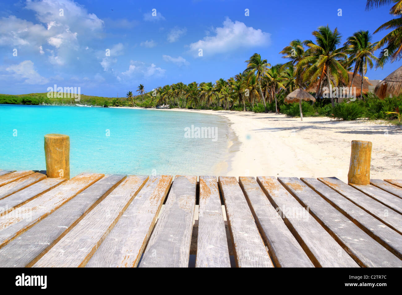 Contoy Insel Palm Bäume tropischen Karibik Strand Mexiko Stockfoto