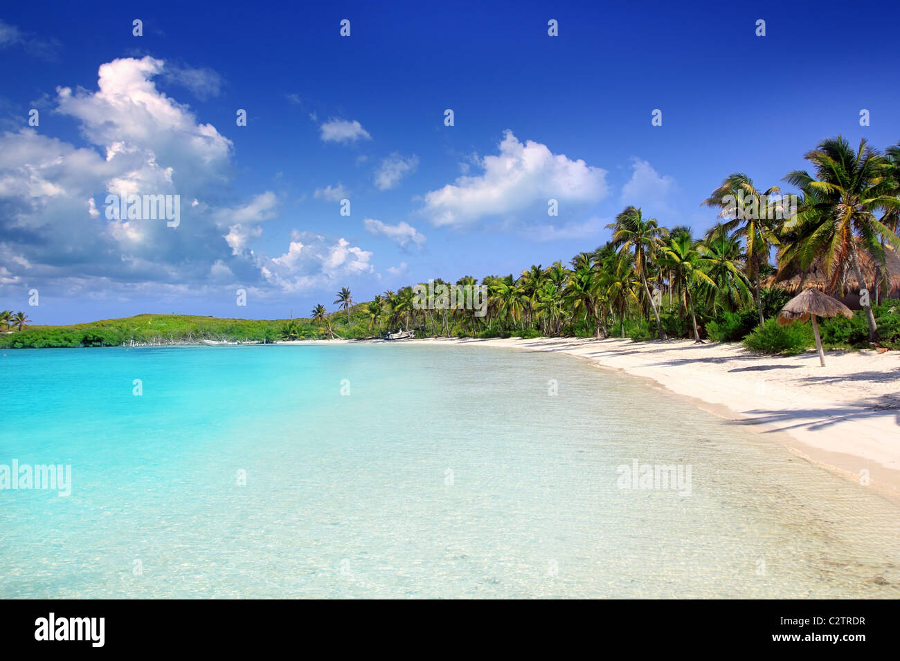 Contoy Insel Palm Bäume tropischen Karibik Strand Mexiko Stockfoto