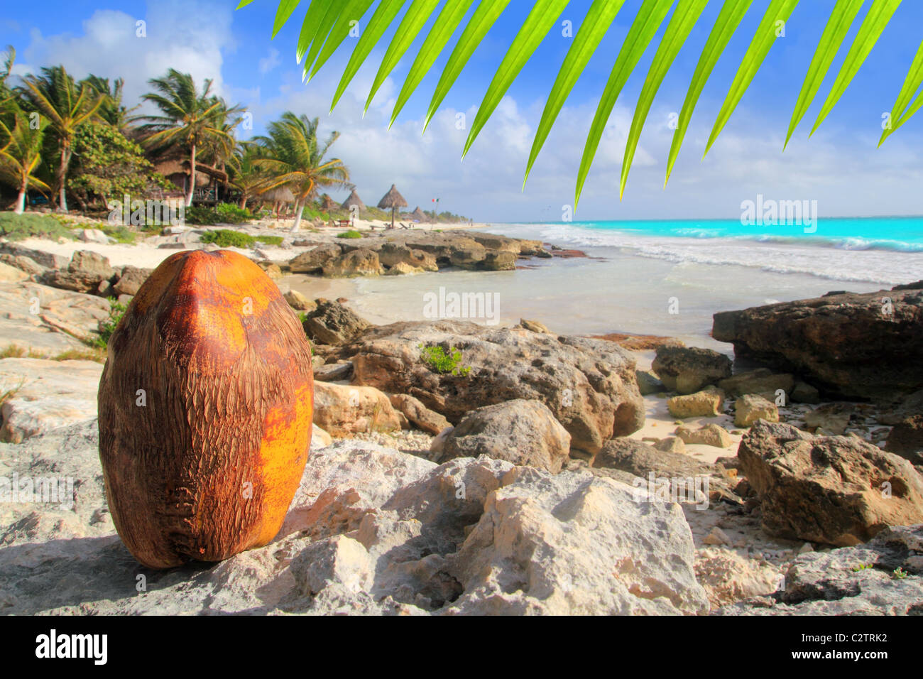 Karibik Tulum Mexiko Kokosnuss Türkis Strand Riviera Maya Stockfoto
