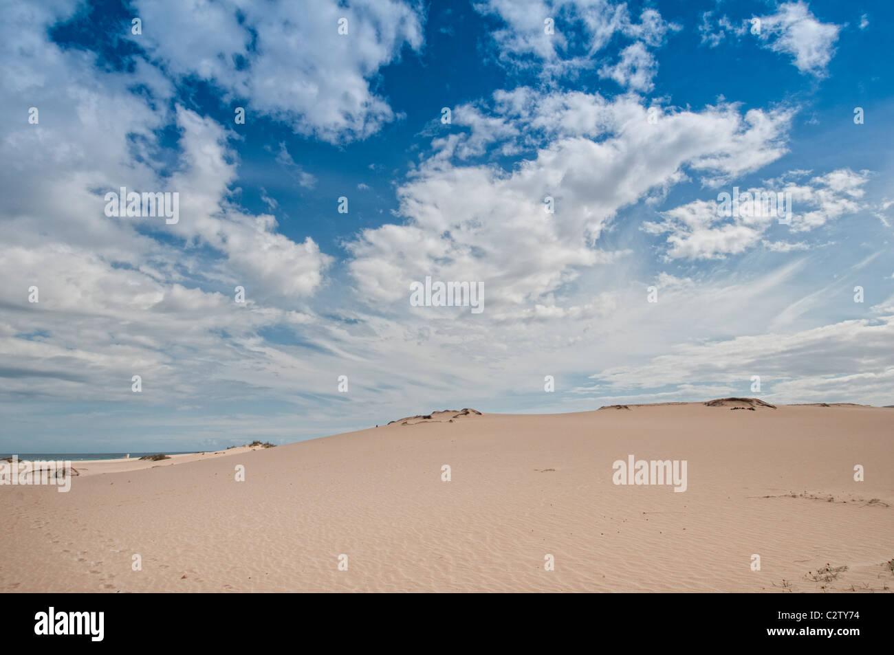 Sanddünen in der Parque Natural de Corralejo fuerteventura Stockfoto