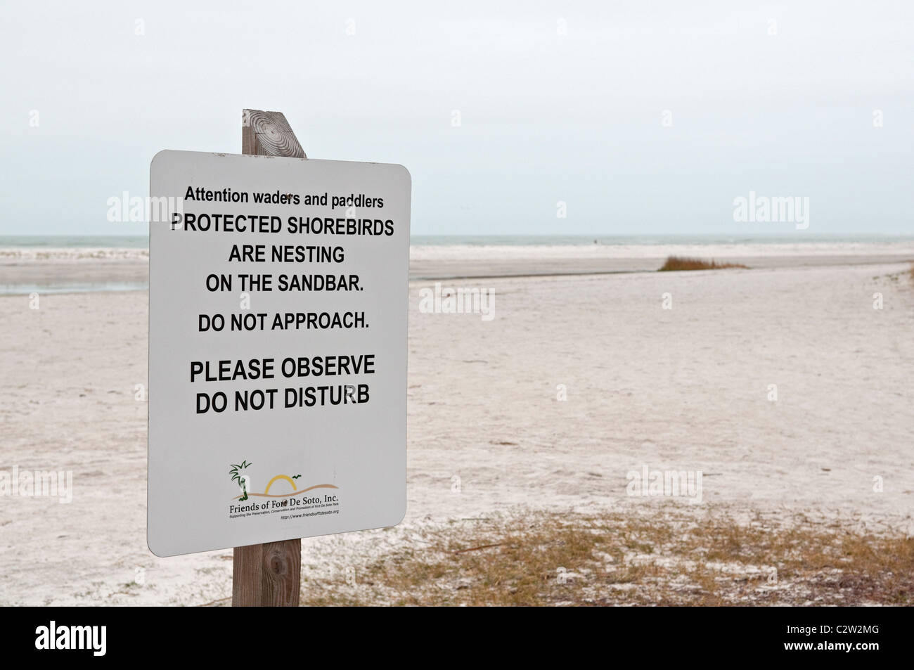 Warnhinweis für Verschachtelung Küstenvögel. Fort De Soto, Florida, USA Stockfoto