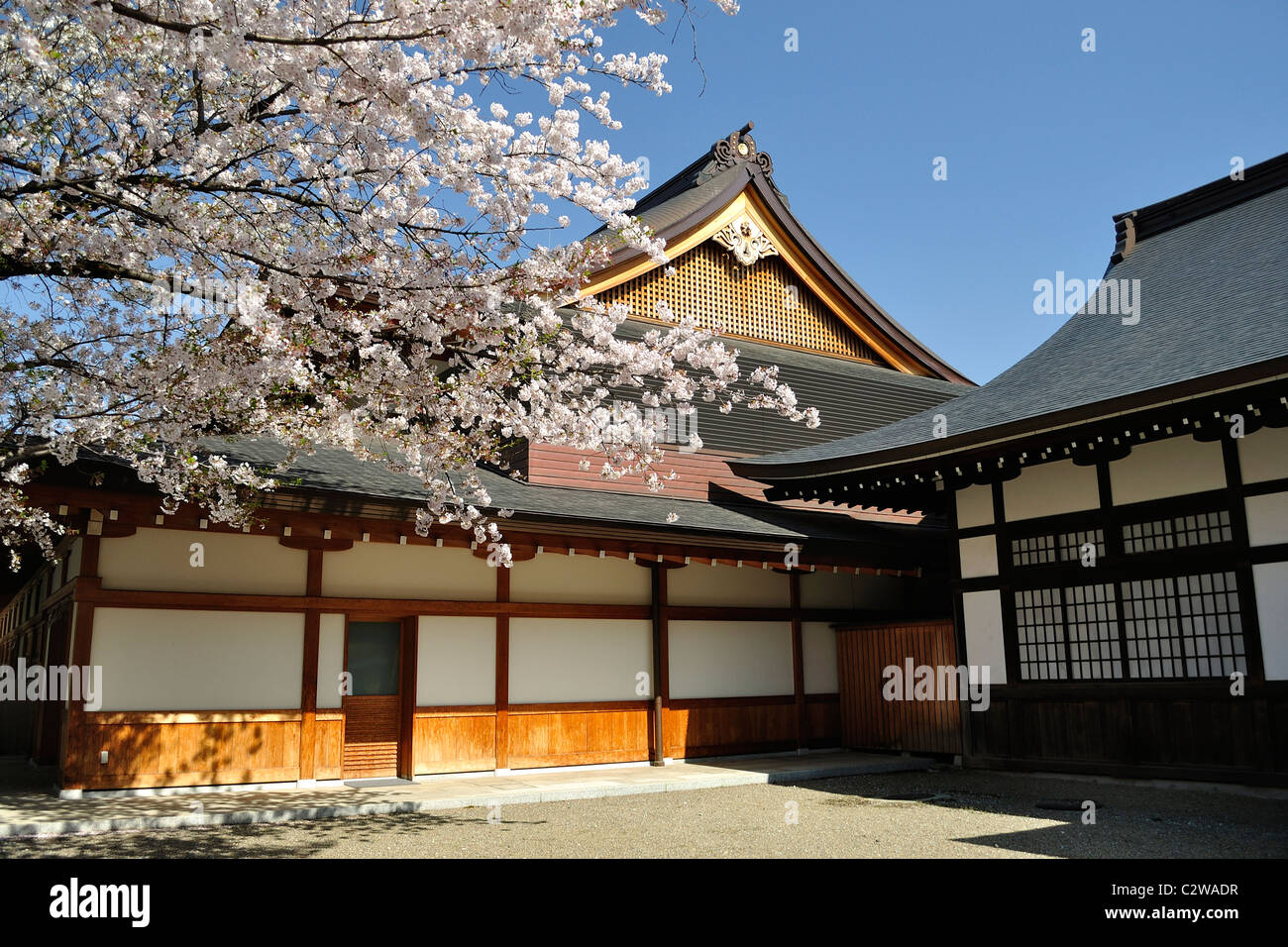 "Tochakuden" Empfangshalle "Yasukuni Jinja" Shinto Schrein während der Kirschblüte (Tokio, Japan) Stockfoto