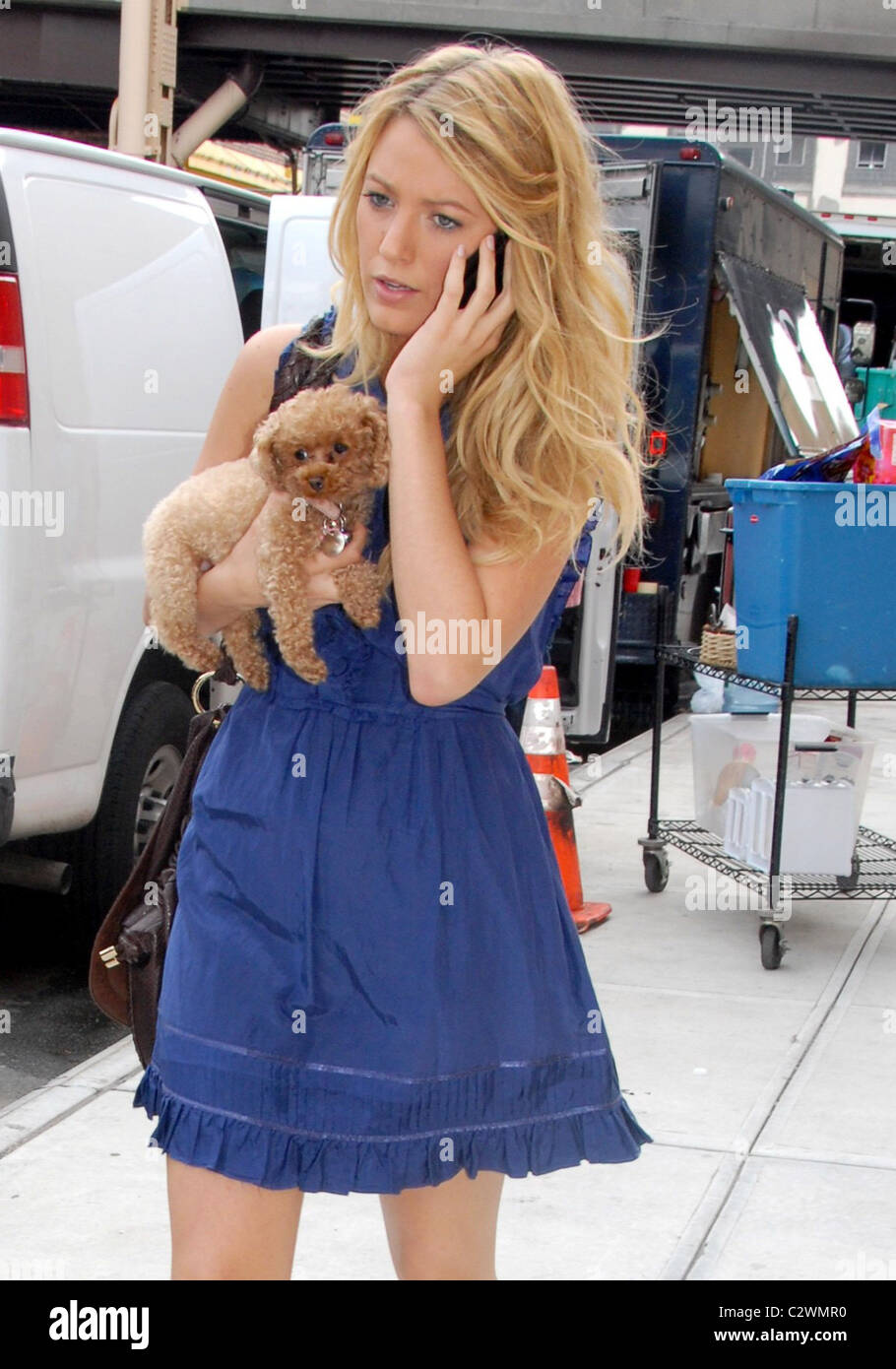 Blake Lively Mit Ihrem Hund Am Set Von Ihr Zeigen Gossip Girl Dreharbeiten In Long Island New York City Vereinigte Staaten 24 07 08 Stockfotografie Alamy