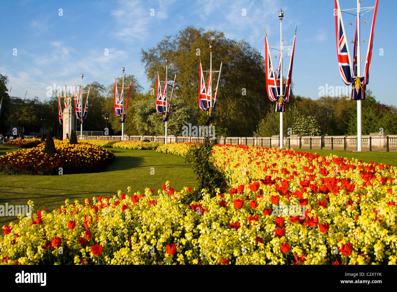 bunten Blumenbeet, Londoner Mall für Royal Hochzeitsfeier Stockfoto