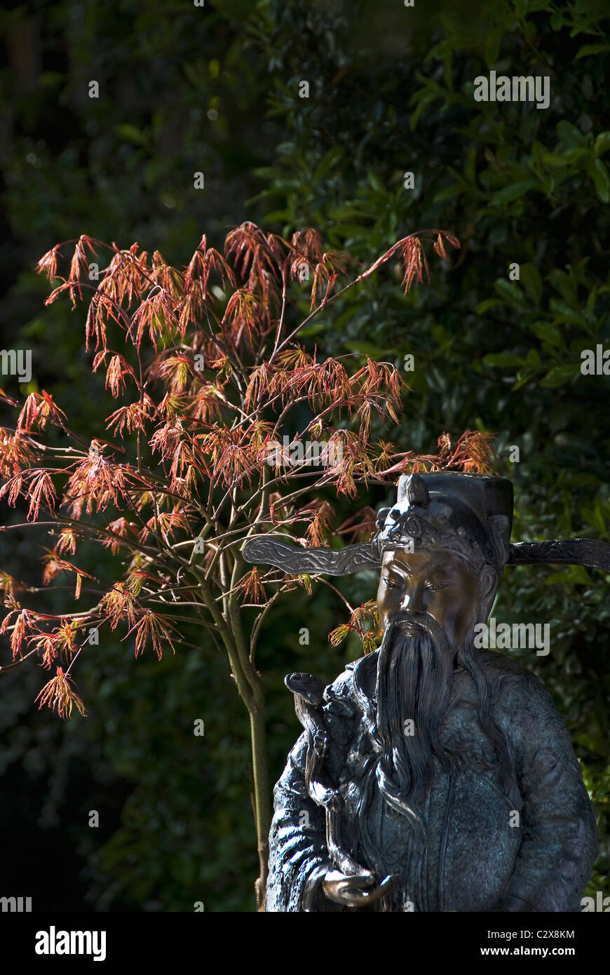 Acer Palmatum mit orientalischen Bronze. Stockfoto