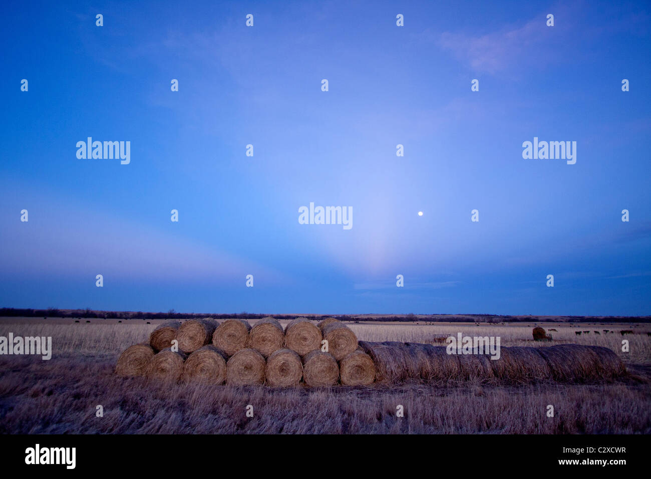 Heu-Ballen und dem Mond im ländlichen Nebraska, USA, 16.02.2011 Stockfoto