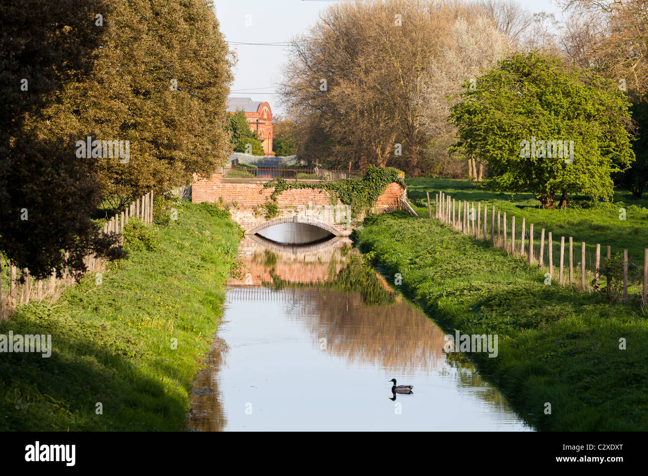 Friedliche Szene mit einer Brücke und eine Ente auf dem Fluss im Vordergrund. Stockfoto