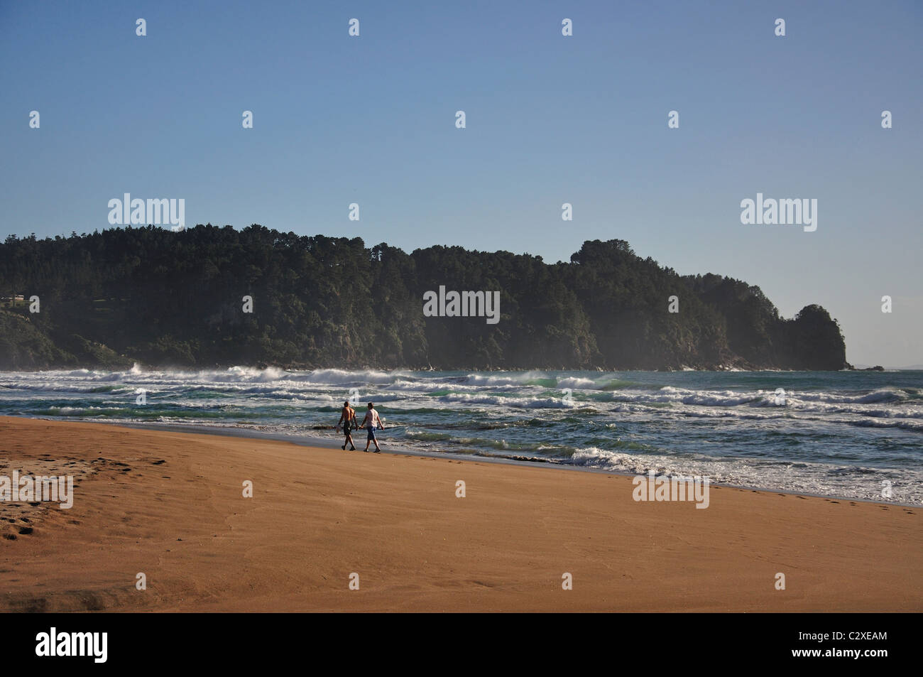 Hot Water Beach, Mercury Bay, Coromandel Halbinsel, Region Waikato, Nordinsel, Neuseeland Stockfoto