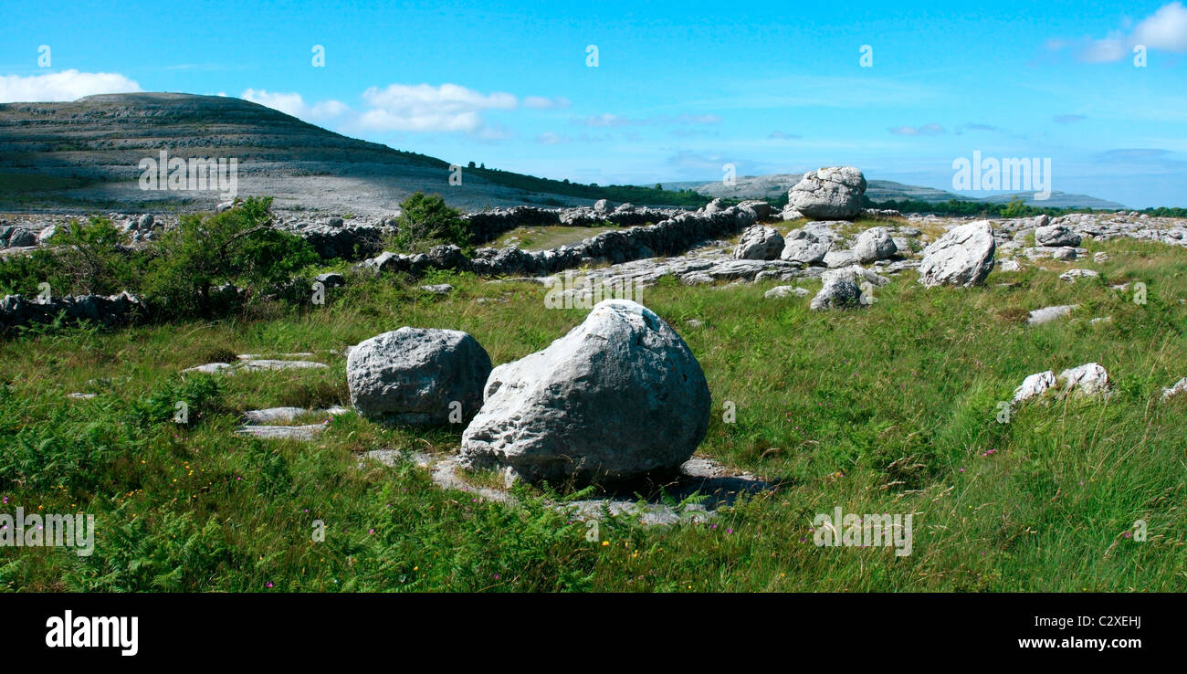 Der Burren, Co. Clare, Irland; Landschaft bei den Rockgarden Stockfoto