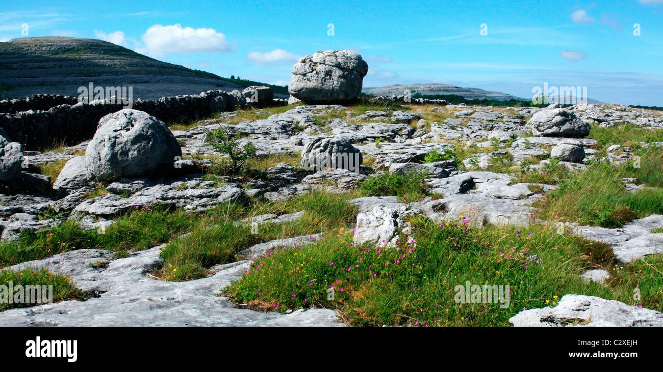 Der Burren, Co. Clare, Irland; Landschaft bei den Rockgarden Stockfoto