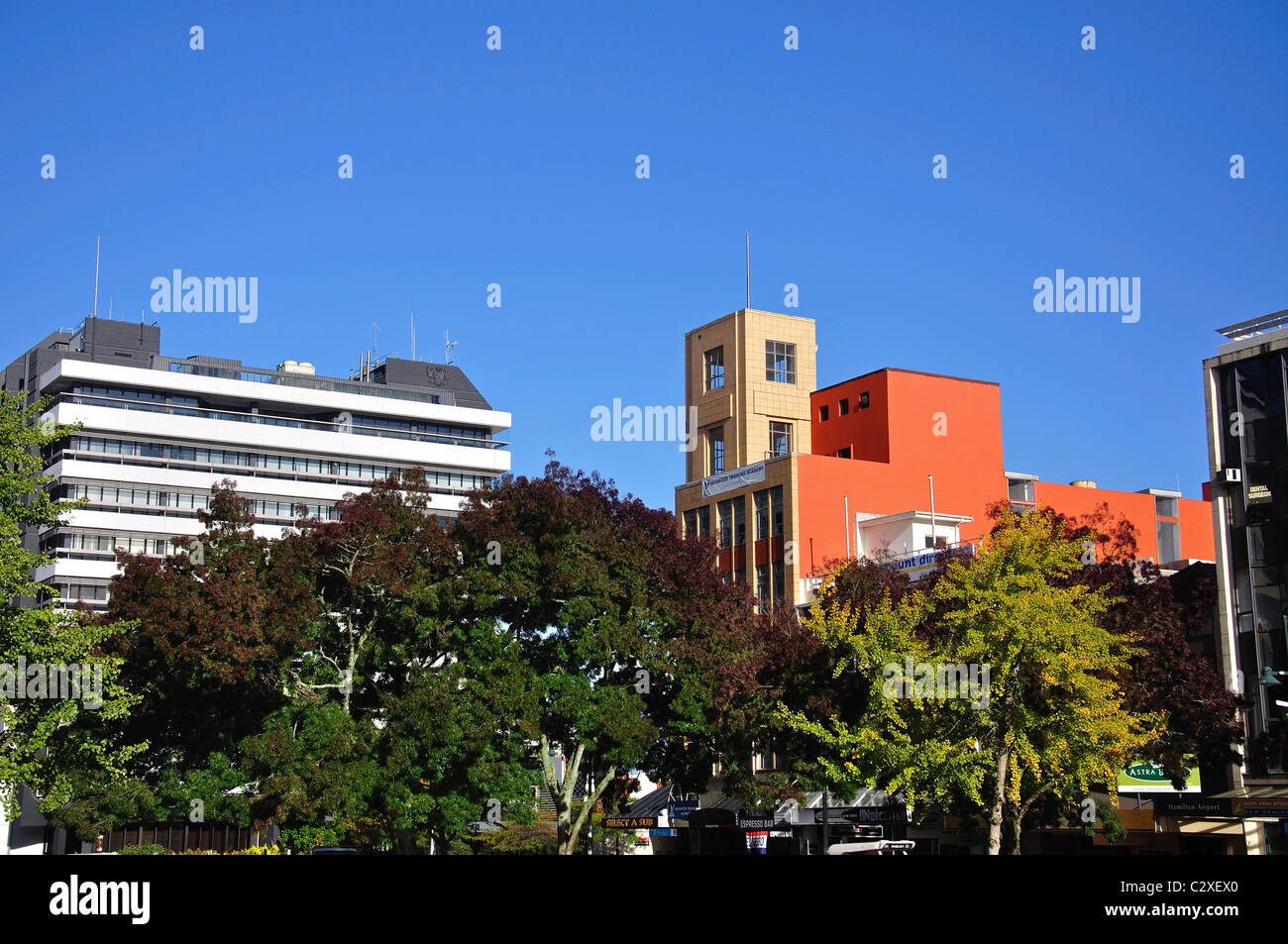 Garten Platz, Hamilton, Waikato Region, Nordinsel, Neuseeland Stockfoto