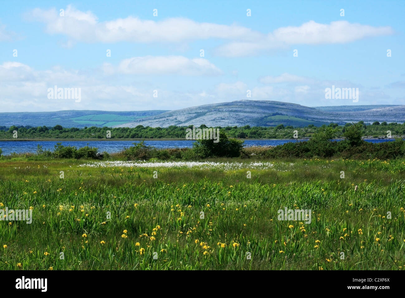 Co Clare, Irland; Am Fuße des Burren Stockfoto