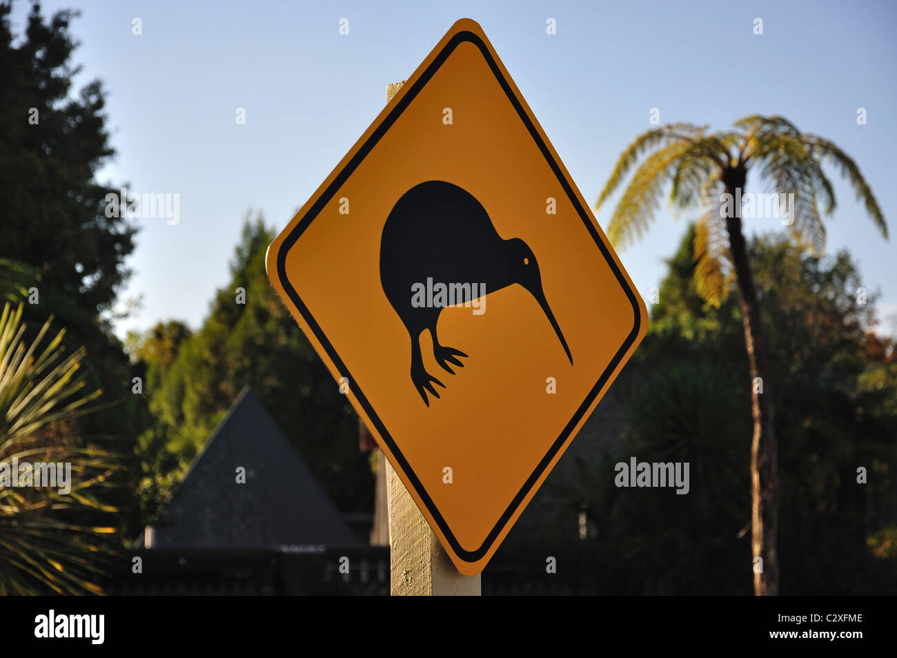 Straßenschild Kiwi, in der Nähe von Rotorua, Bucht von viel Region, Nordinsel, Neuseeland Stockfoto